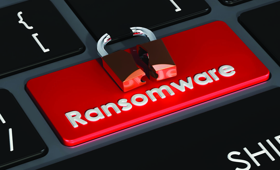 Custom Solution Rescues New Jersey CPA Firm from Ransomware Breach